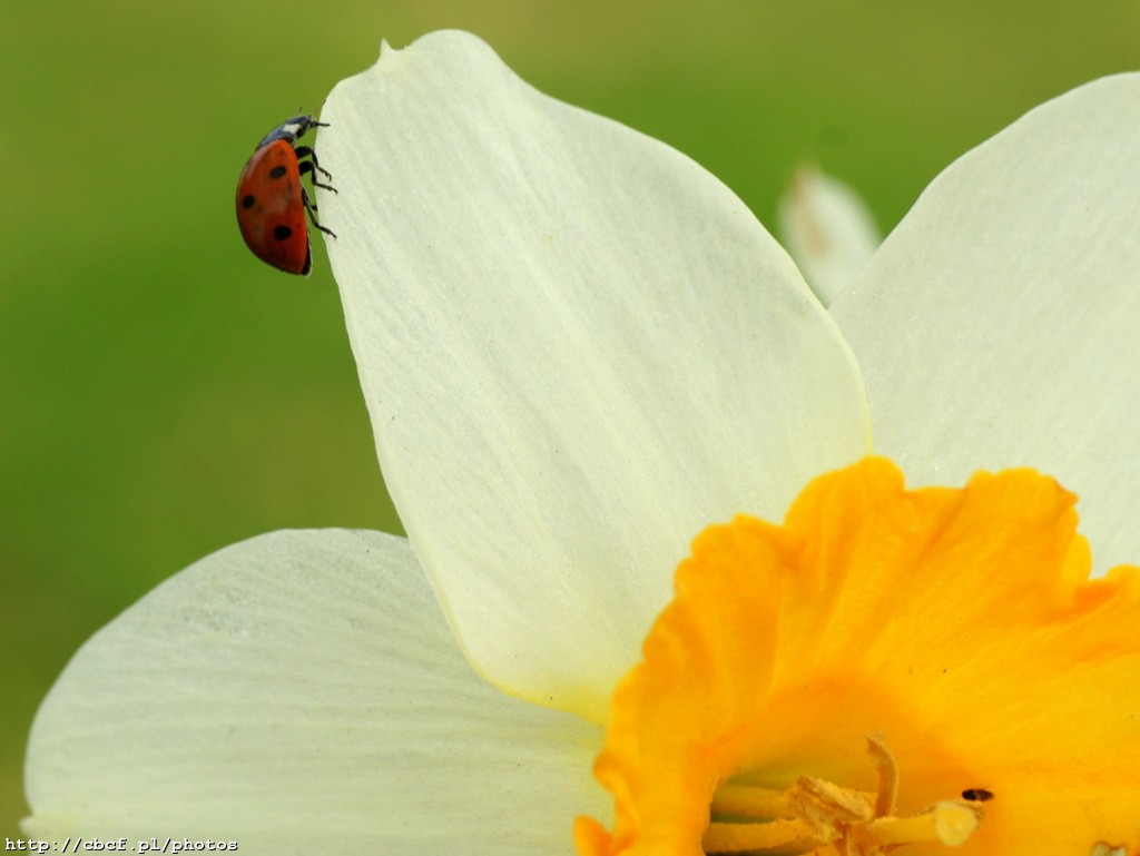 2010-05-01 Natura